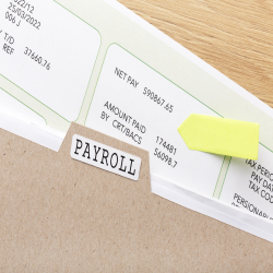 Real Paycheck Stubs